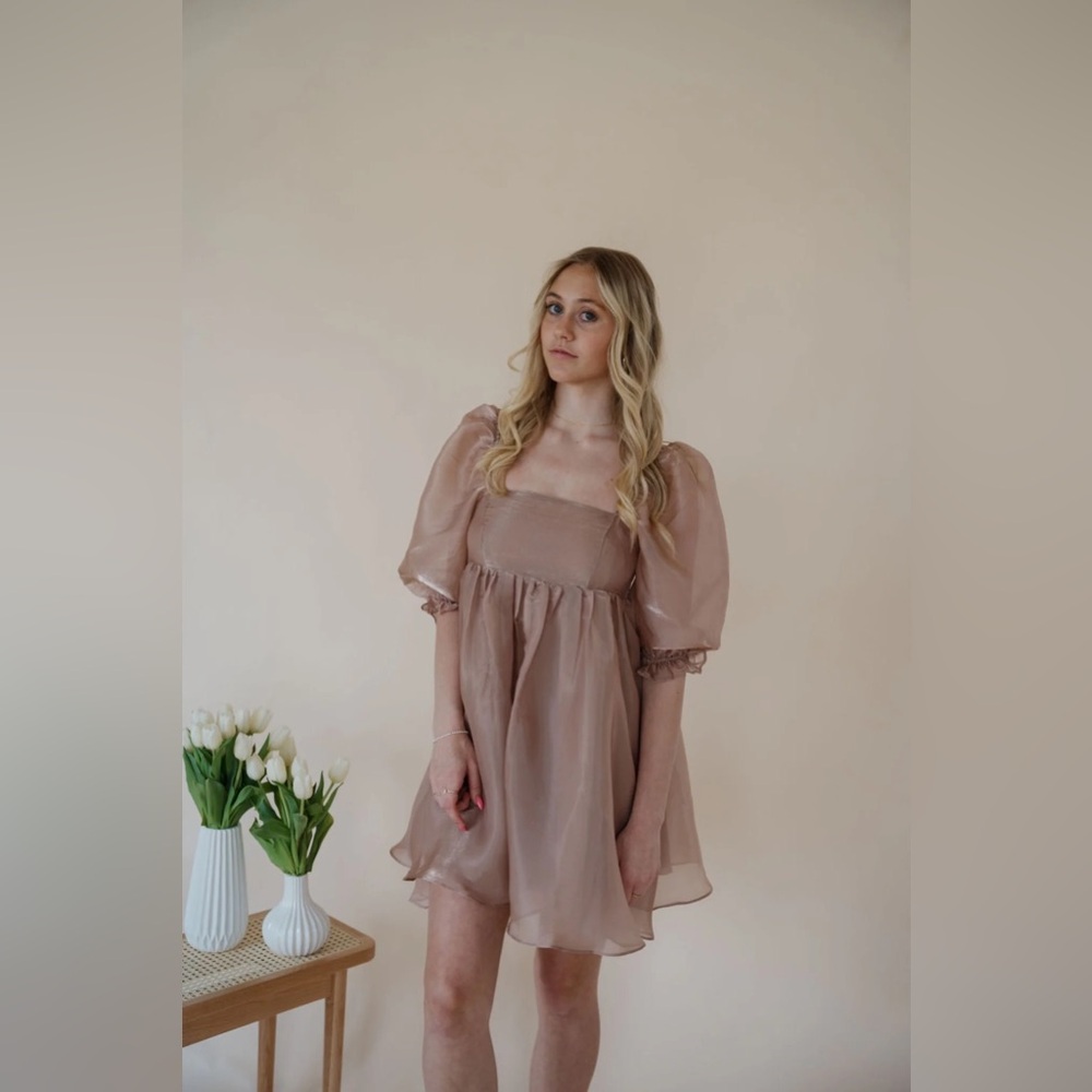 Storia Pink Champagne Puff Sleeve Dress